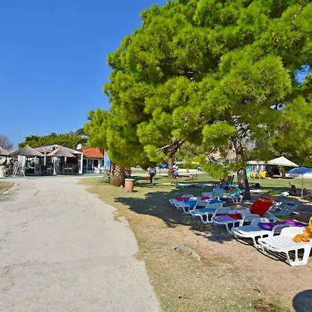Roza Apartament *